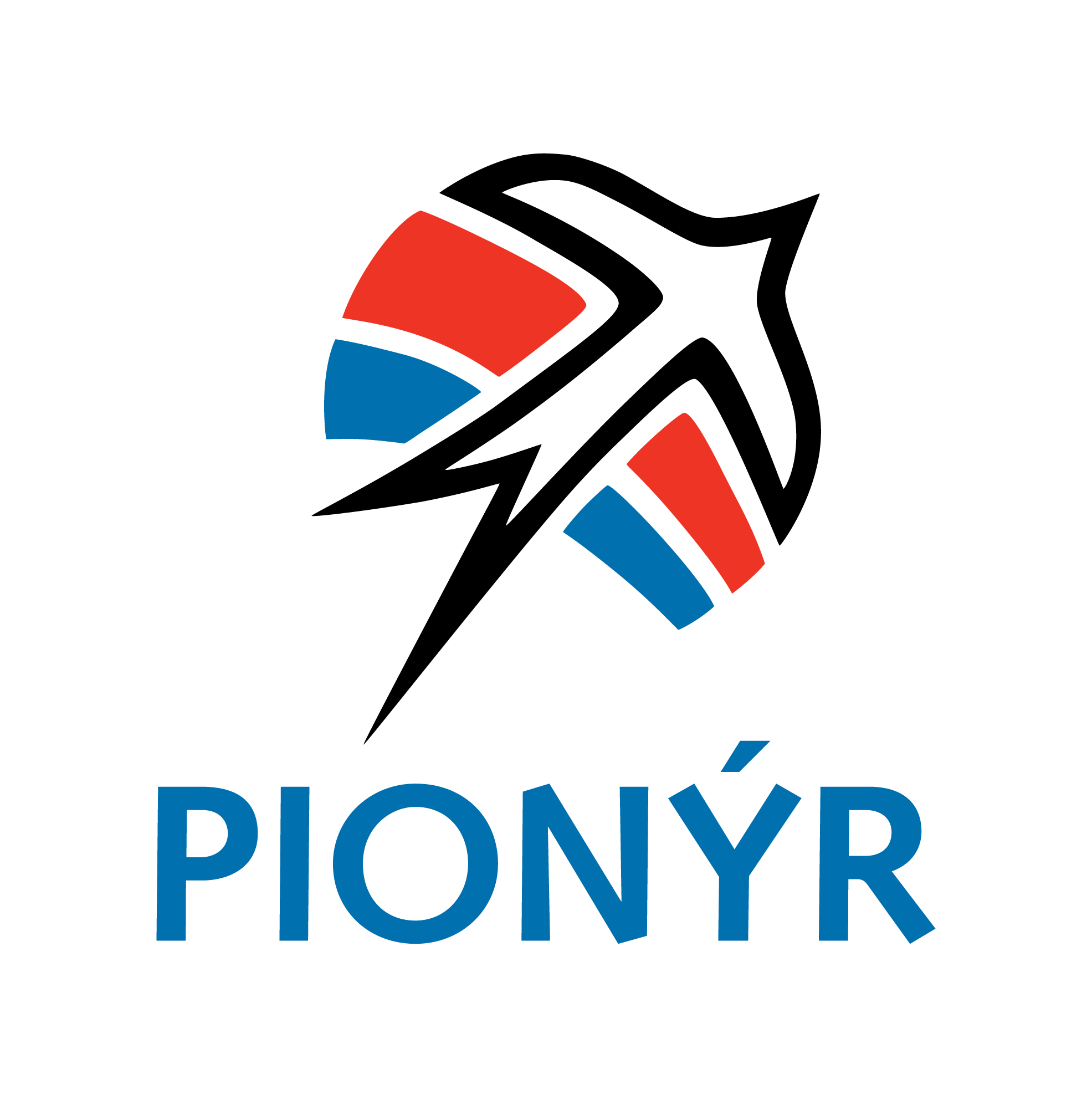 Pionýr Festival dobrovolnictví DORT